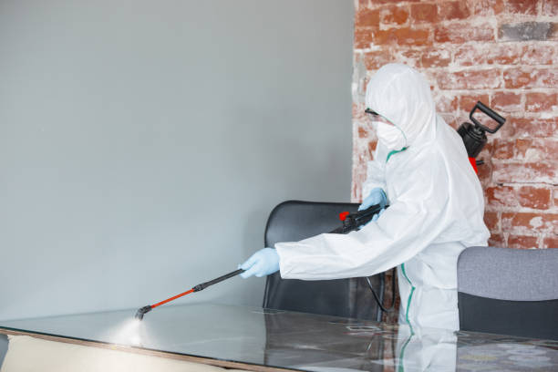 Best Mold Remediation for Healthcare Facilities  in Clarksburg, WV