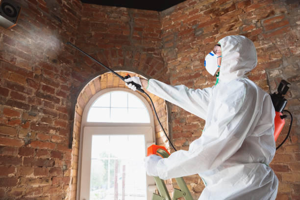 Best Comprehensive Air Testing for Mold Contaminants  in Clarksburg, WV